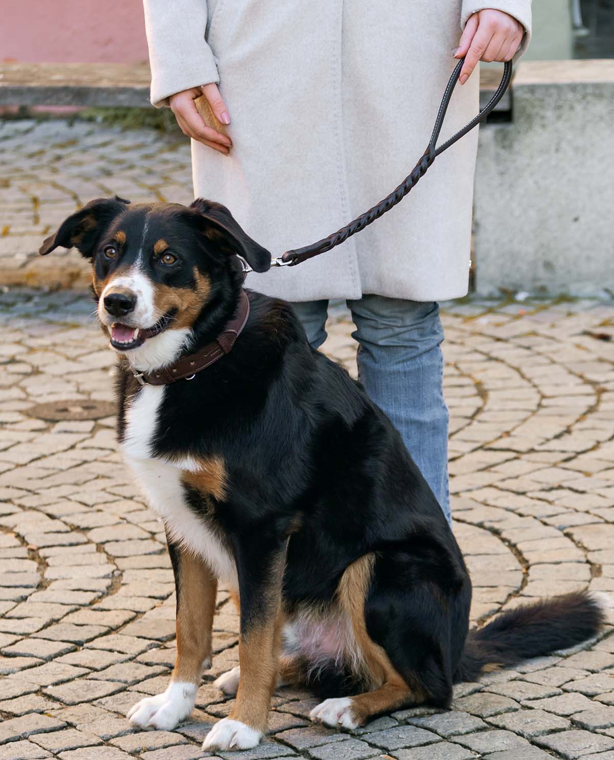 Vorschaubild 3